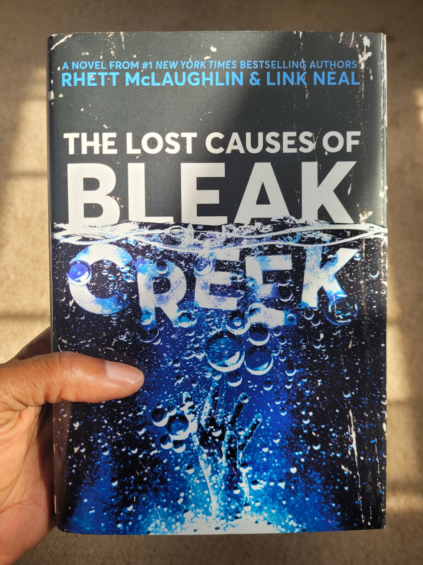 Lost Causes of Bleak Creek, The